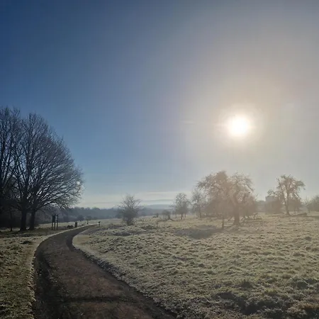 Apartment Documenta Urbana