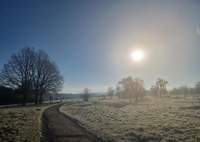 Apartment Documenta Urbana