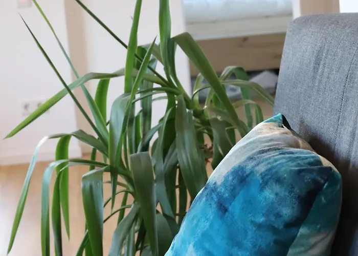 Apartmán Documenta Urbana *